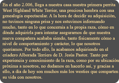 En el año 2.006, llega a nuestra casa nuestra primera perrita West Highland White Terrier, una preciosa hembra con una genealogía espectacular. A la hora de decidir su adquisición, no tuvimos ninguna prisa y nos estuvimos informando mucho, tanto en lo que concernía a la propia raza, cómo en dónde adquirirla para intentar asegurarnos de que nuestra nueva compañera acababa siendo, tanto físicamente cómo a nivel de comportamiento y carácter, lo que nosotros queríamos. Por todo ello, la acabamos adquiriendo en el criadero Alborada Terriers de D. Jesús Pastor. Tanto por experiencia y conocimiento de la raza, como por su ubicación próxima a nosotros, no dudamos en hacerlo así, y gracias a ello, a día de hoy son muchos más los westies que comparten su vida con nosotros. 
