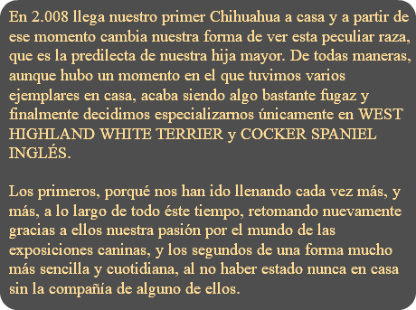 En 2.008 llega nuestro primer Chihuahua a casa y a partir de ese momento cambia nuestra forma de ver esta peculiar raza, que es la predilecta de nuestra hija mayor. De todas maneras, aunque hubo un momento en el que tuvimos varios ejemplares en casa, acaba siendo algo bastante fugaz y finalmente decidimos especializarnos únicamente en WEST HIGHLAND WHITE TERRIER y COCKER SPANIEL INGLÉS. Los primeros, porqué nos han ido llenando cada vez más, y más, a lo largo de todo éste tiempo, retomando nuevamente gracias a ellos nuestra pasión por el mundo de las exposiciones caninas, y los segundos de una forma mucho más sencilla y cuotidiana, al no haber estado nunca en casa sin la compañía de alguno de ellos.