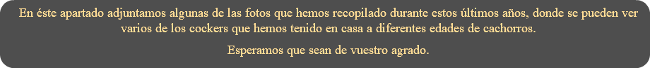 En éste apartado adjuntamos algunas de las fotos que hemos recopilado durante estos últimos años, donde se pueden ver varios de los cockers que hemos tenido en casa a diferentes edades de cachorros. Esperamos que sean de vuestro agrado.